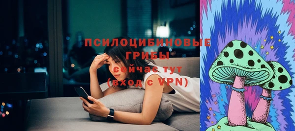 ECSTASY Заводоуковск