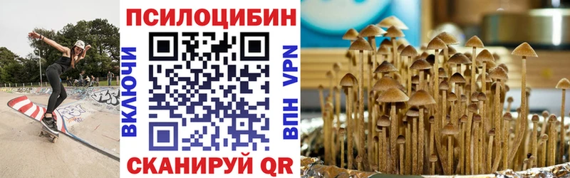 закладки  Знаменск  Галлюциногенные грибы MAGIC MUSHROOMS 