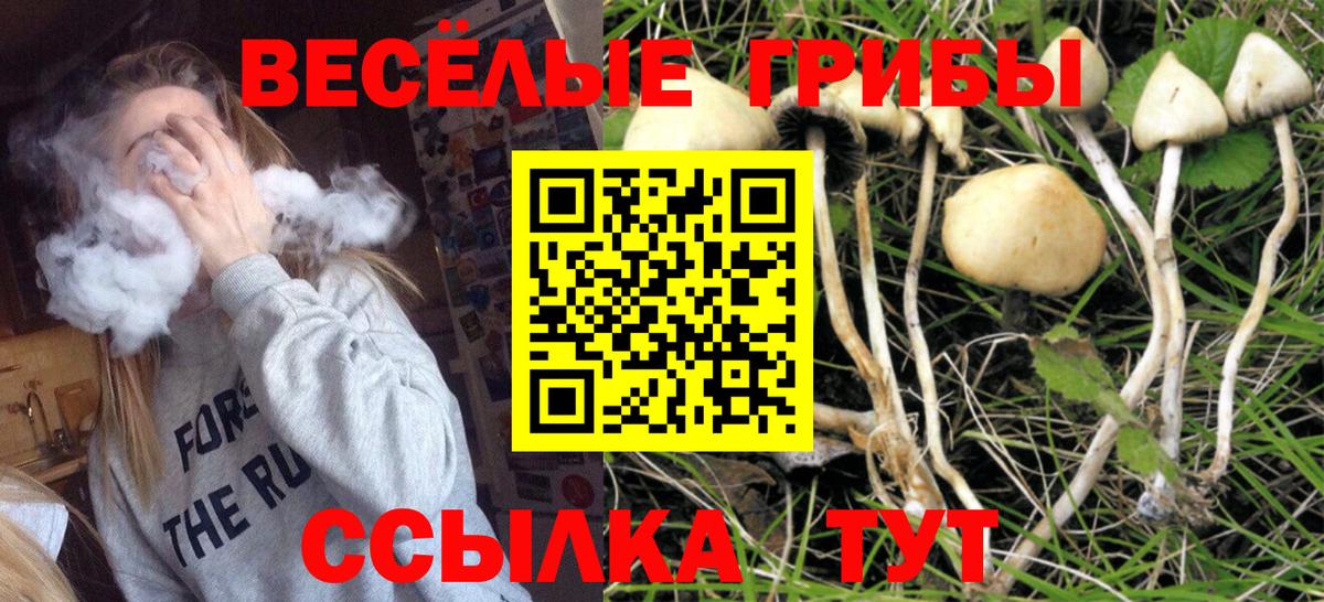 Мефедрон   Знаменск  Марихуана  Гашиш  MDMA  Вход с VPN  Cocaine  ГАШИШ 