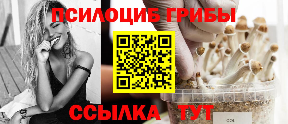 Знаменск  Галлюциногенные грибы Psilocybe  Галлюциногенные грибы Cubensis  Вход с VPN 