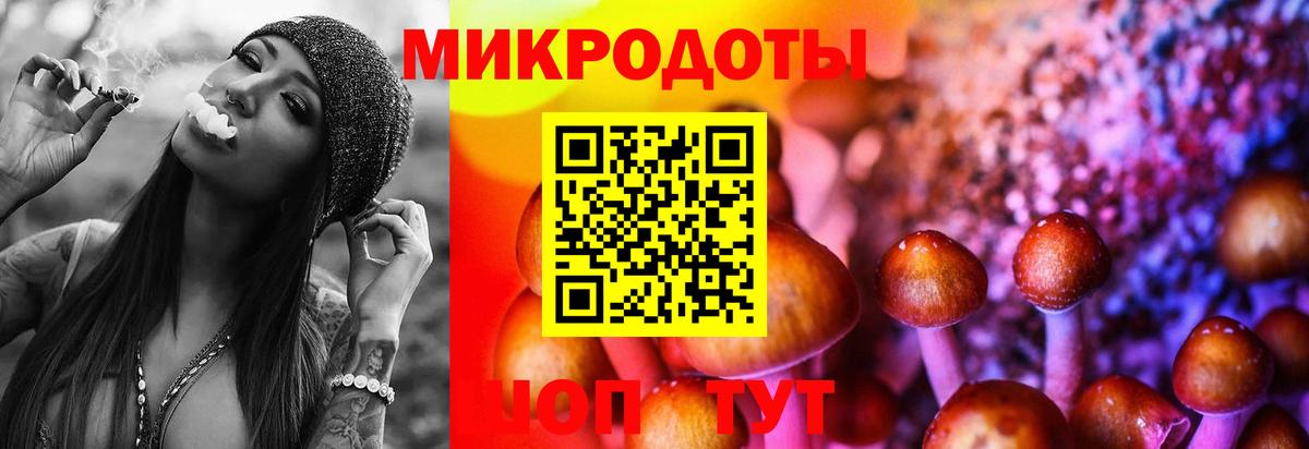 Псилоцибиновые грибы Magic Shrooms Знаменск
